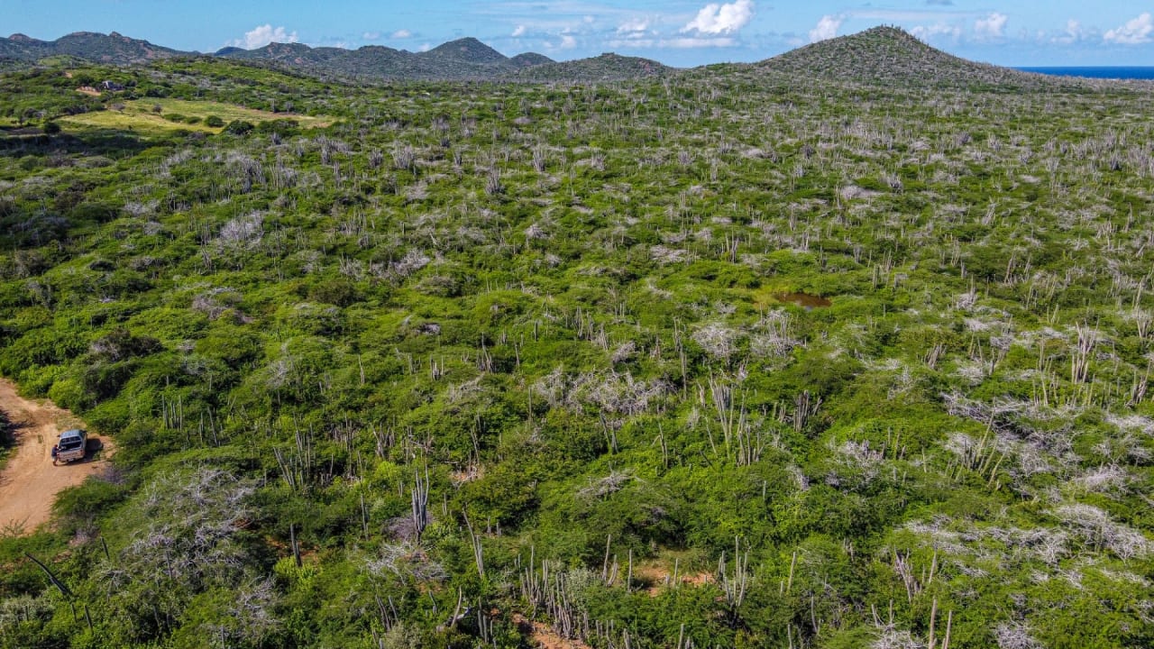 BES Islands Real Estate Bonaire Land For Sale Investment