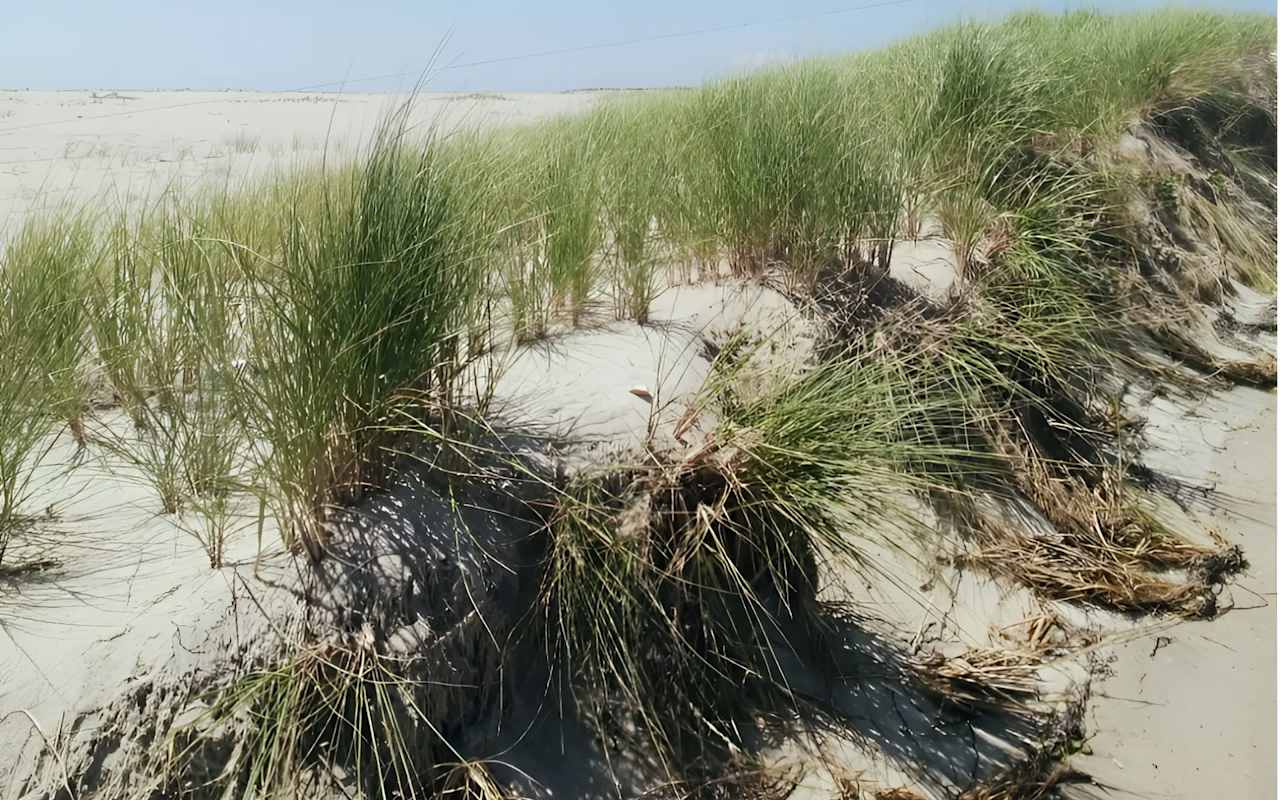 Best Beaches on Nantucket Sanford & Sanford