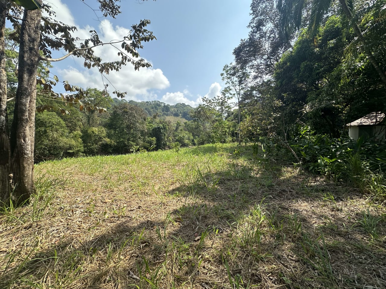 INVESTMENT OPPORTUNITY IN PLATANILLO – YOUR FIXER-UPPER DREAM WALKING DISTANCE TO NAUYACA WATERFALL