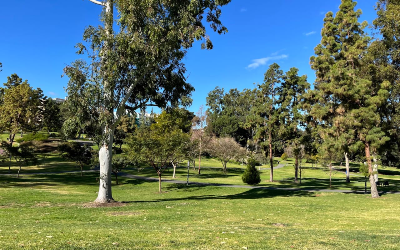 A Guide to Irvine, CA Parks