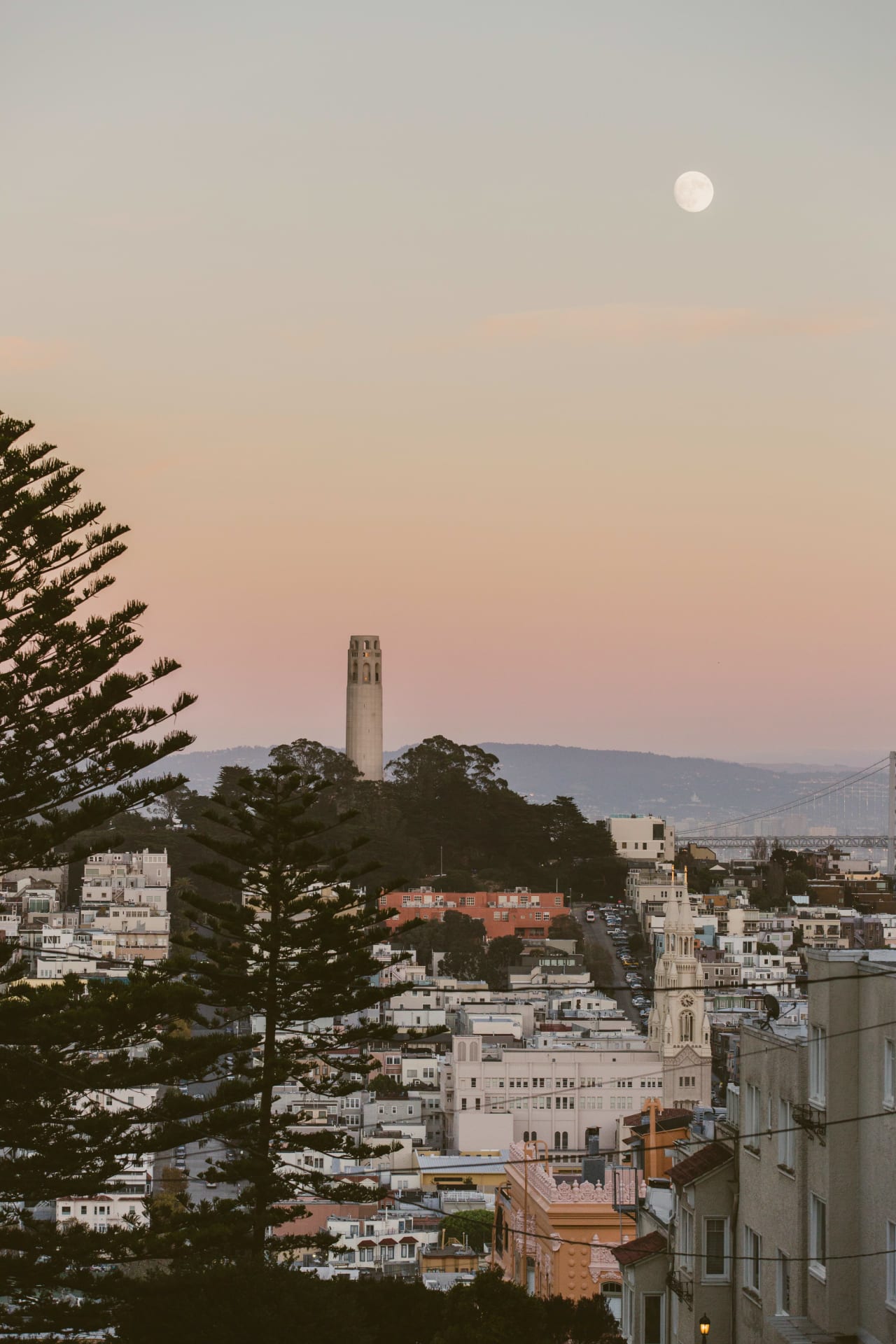 Russian Hill Neighborhood Guide