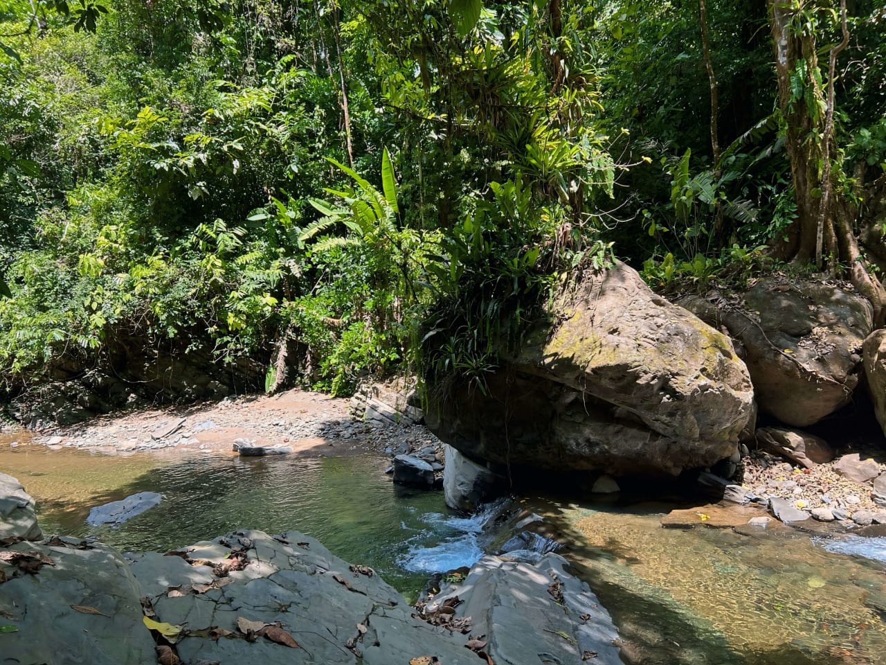 Finca Cerro del Tigre!   Over 20 Acres of Primary Forest and  Waterfalls. 