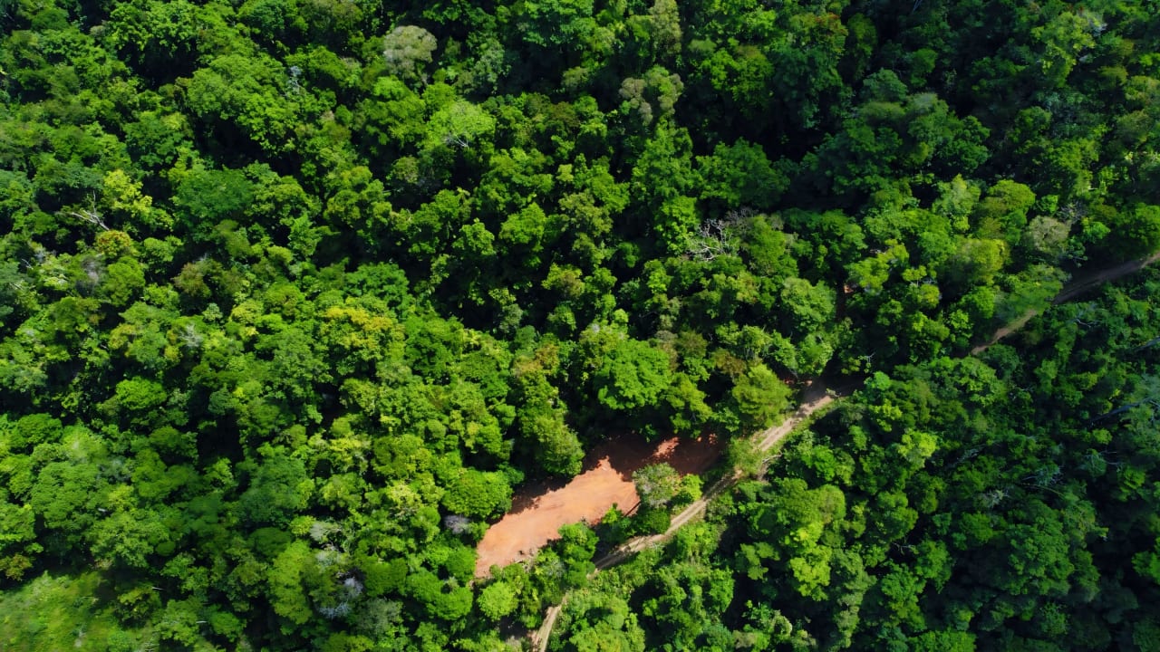 Finca Cerro del Tigre!   Over 20 Acres of Primary Forest and  Waterfalls. 