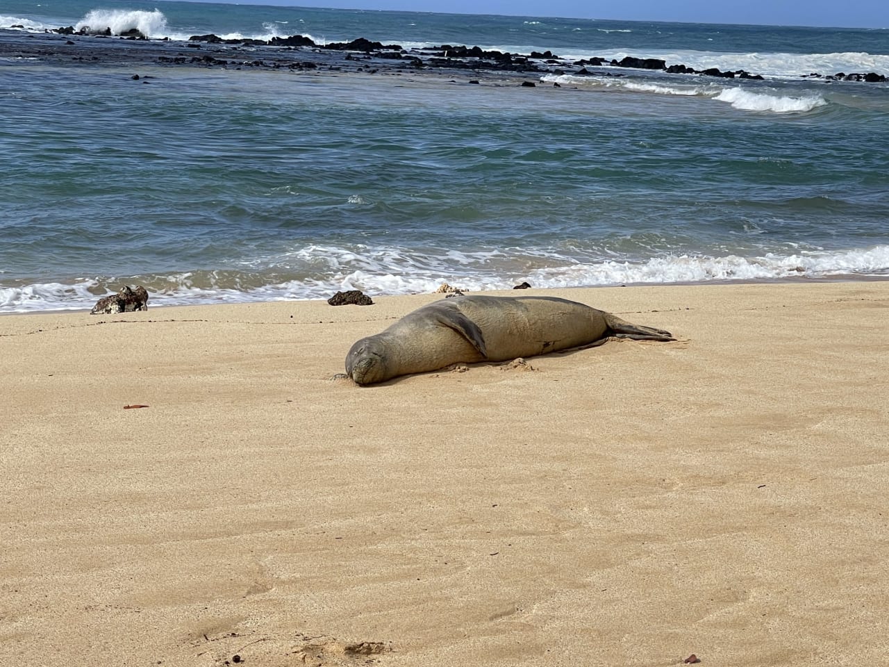 Kauai Real Estate Update, Historic South Shore Swell, Kauai Second