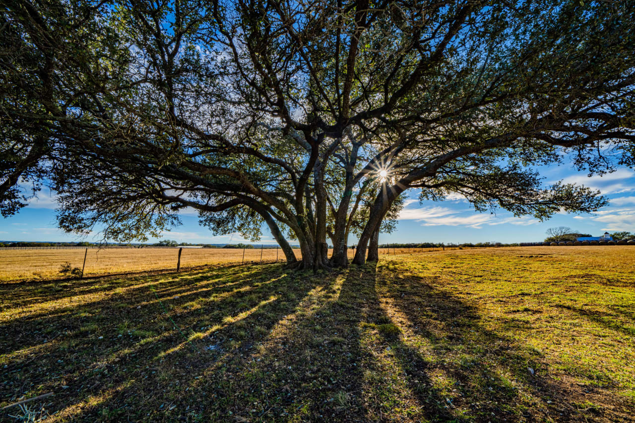 Featherstone Ranch