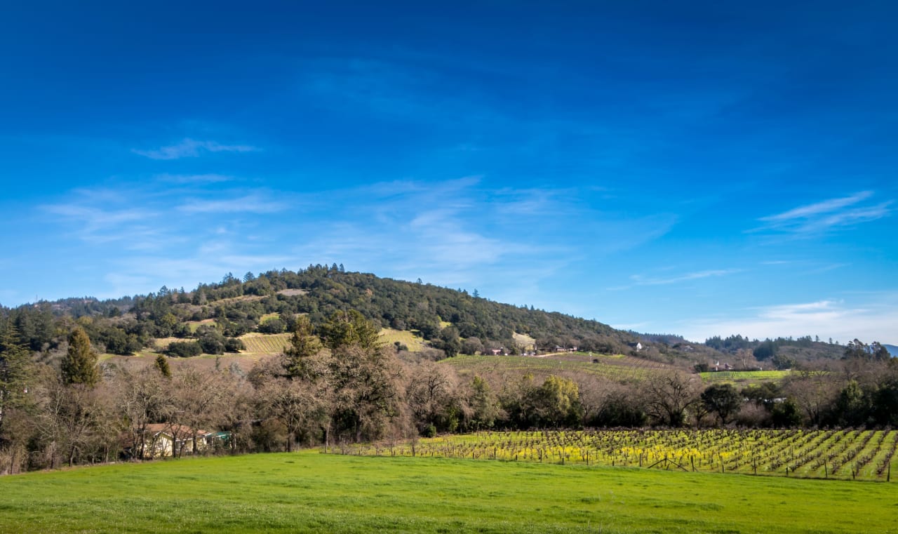 Sonoma