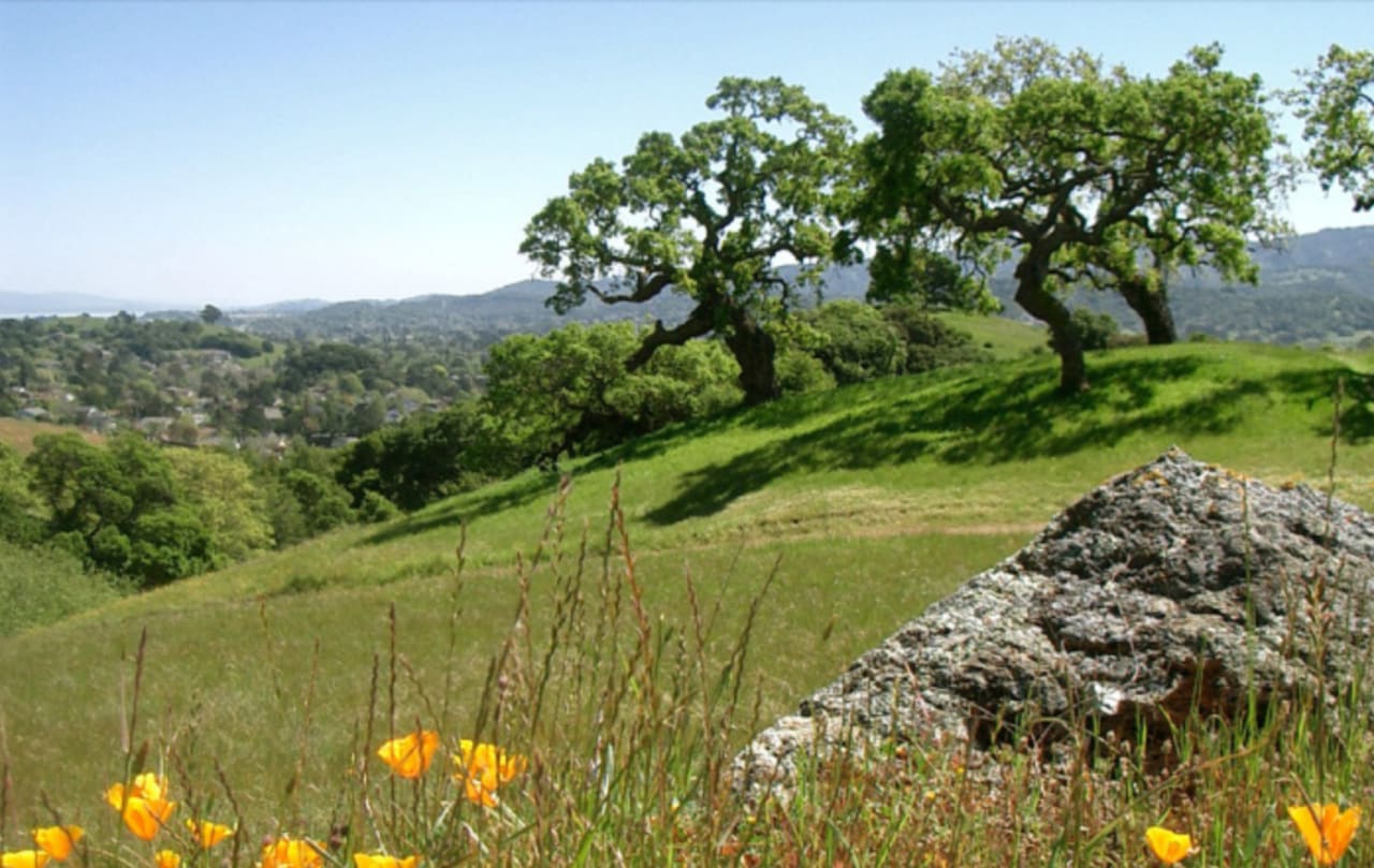 Best Parks in Marin County