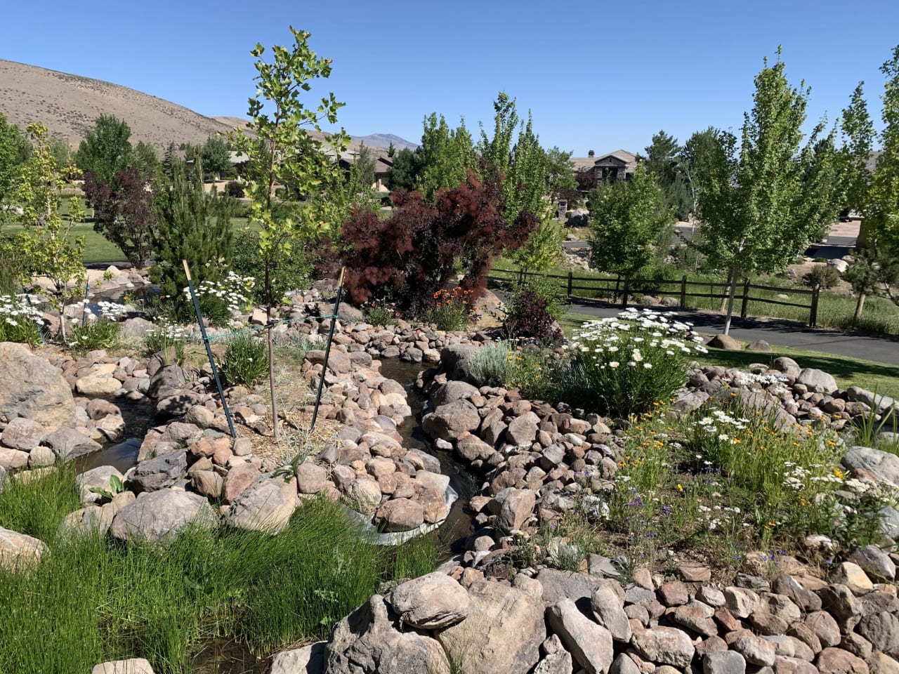 ArrowCreek Neighborhood Guide The Burow Team