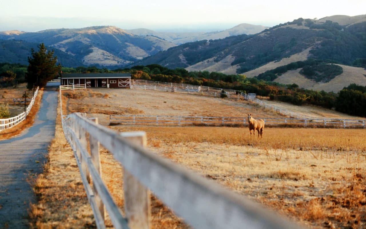 Castro Valley