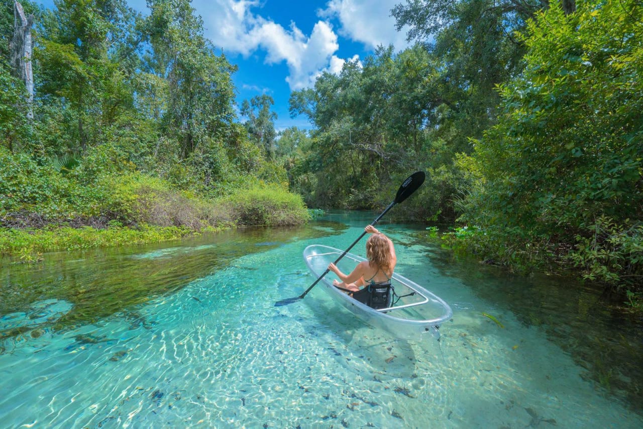 Natural Wonders: Exploring Central Florida's Springs and States Parks