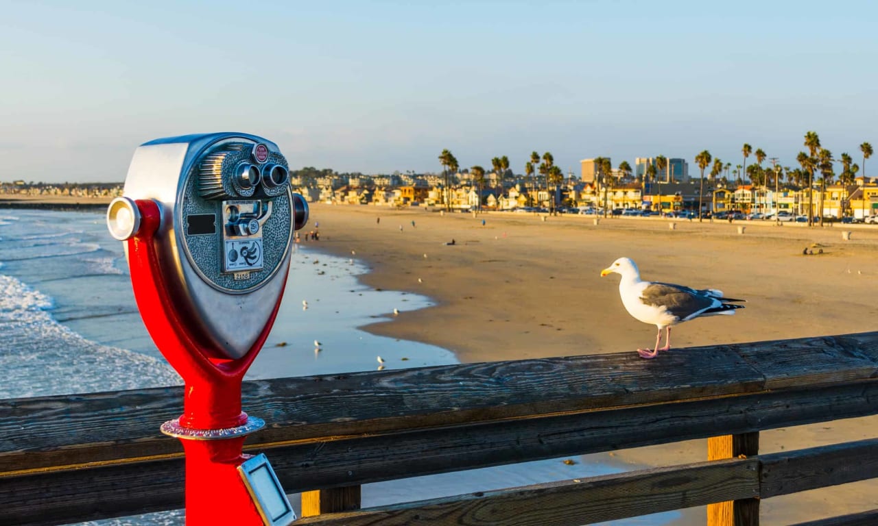 About Us Coastal Real Estate Group