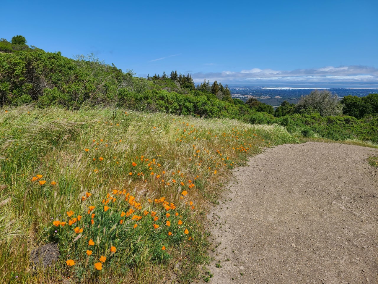 Portola Valley