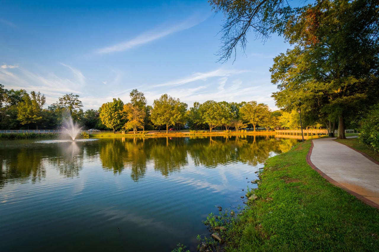 A small fountain in the middle of a pond in a park. The pond is surrounded by trees and plants.