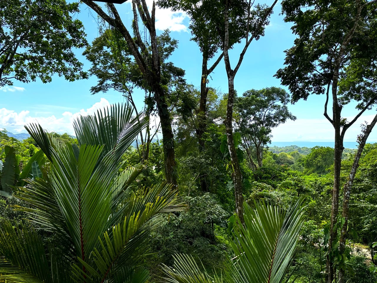 Jungle, Rivers, a Waterfall and Panoramic Ocean View with Easy Access Close to All Amenities!