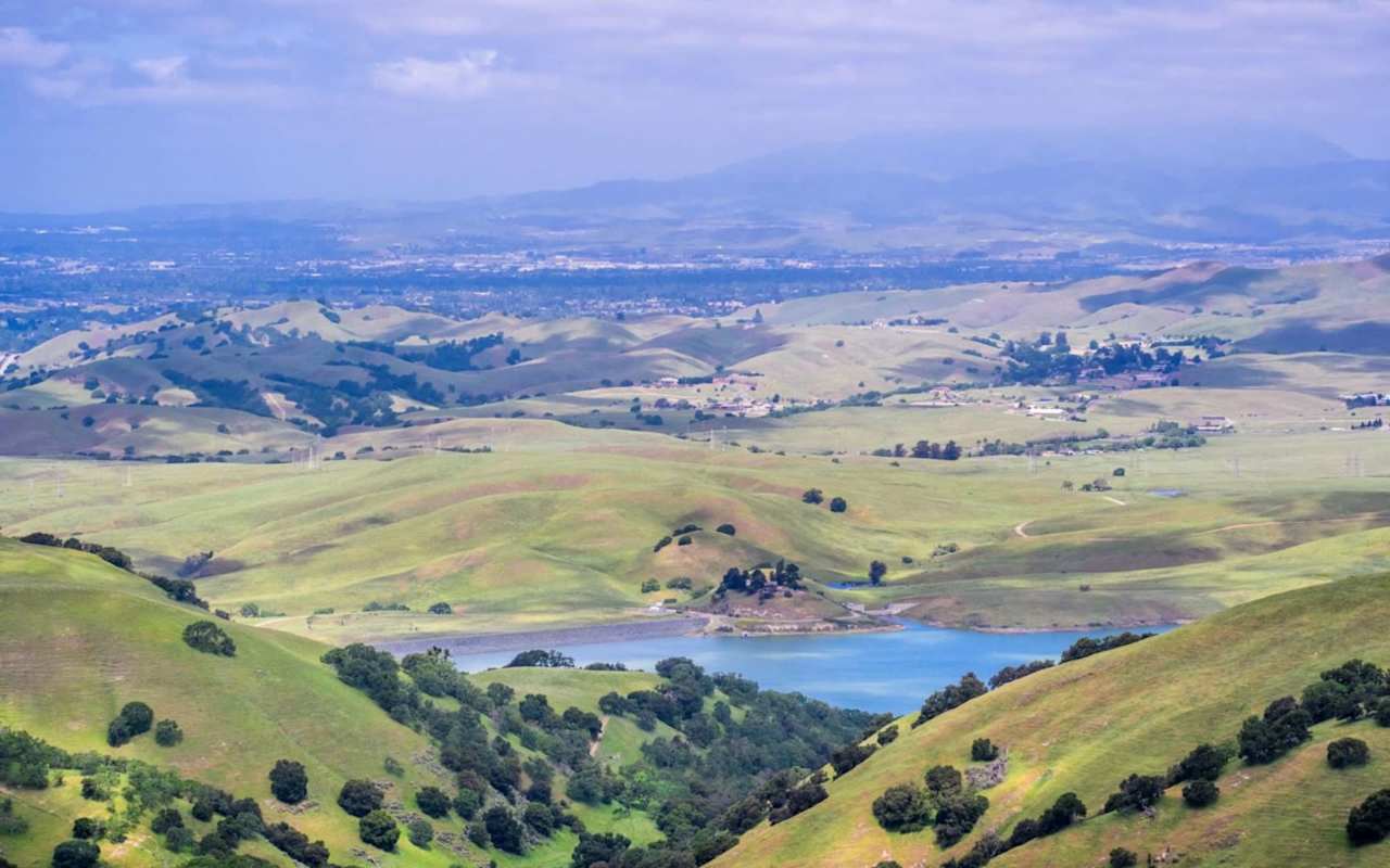 Sunol Elation Real Estate