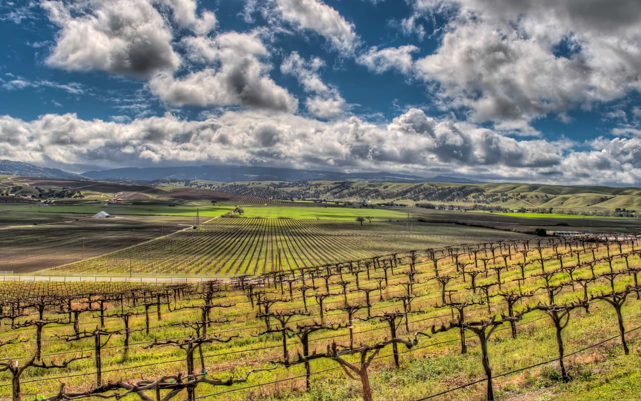 Things to Do in Livermore