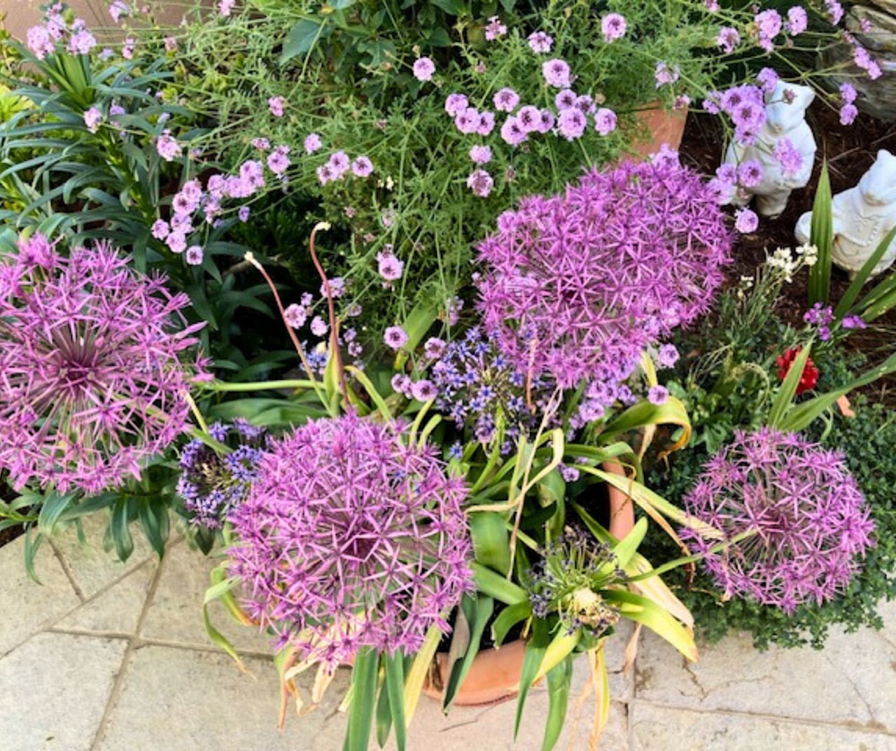 Livermore-Amador Valley Garden Club