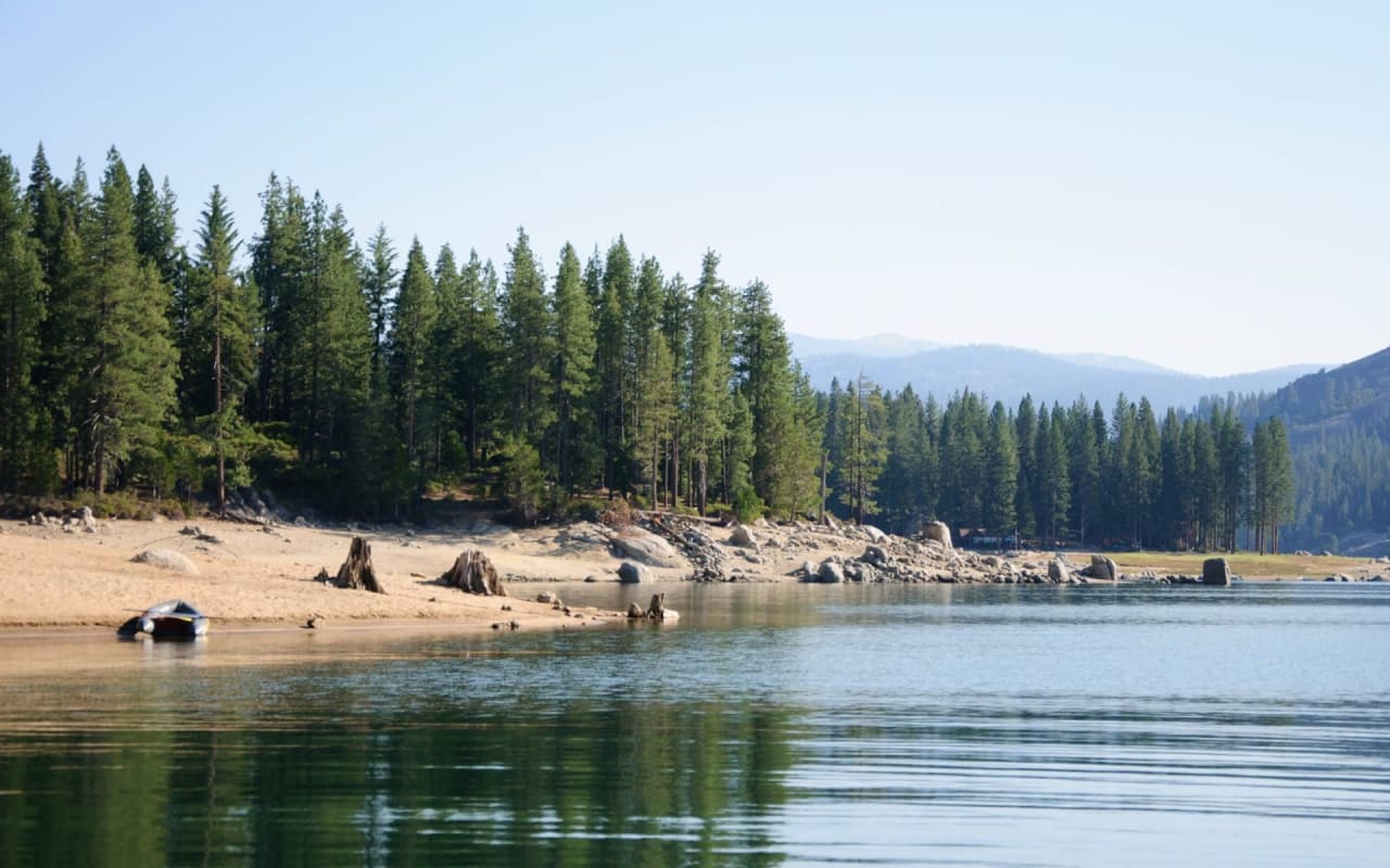 Shaver Lake SME Real Estate