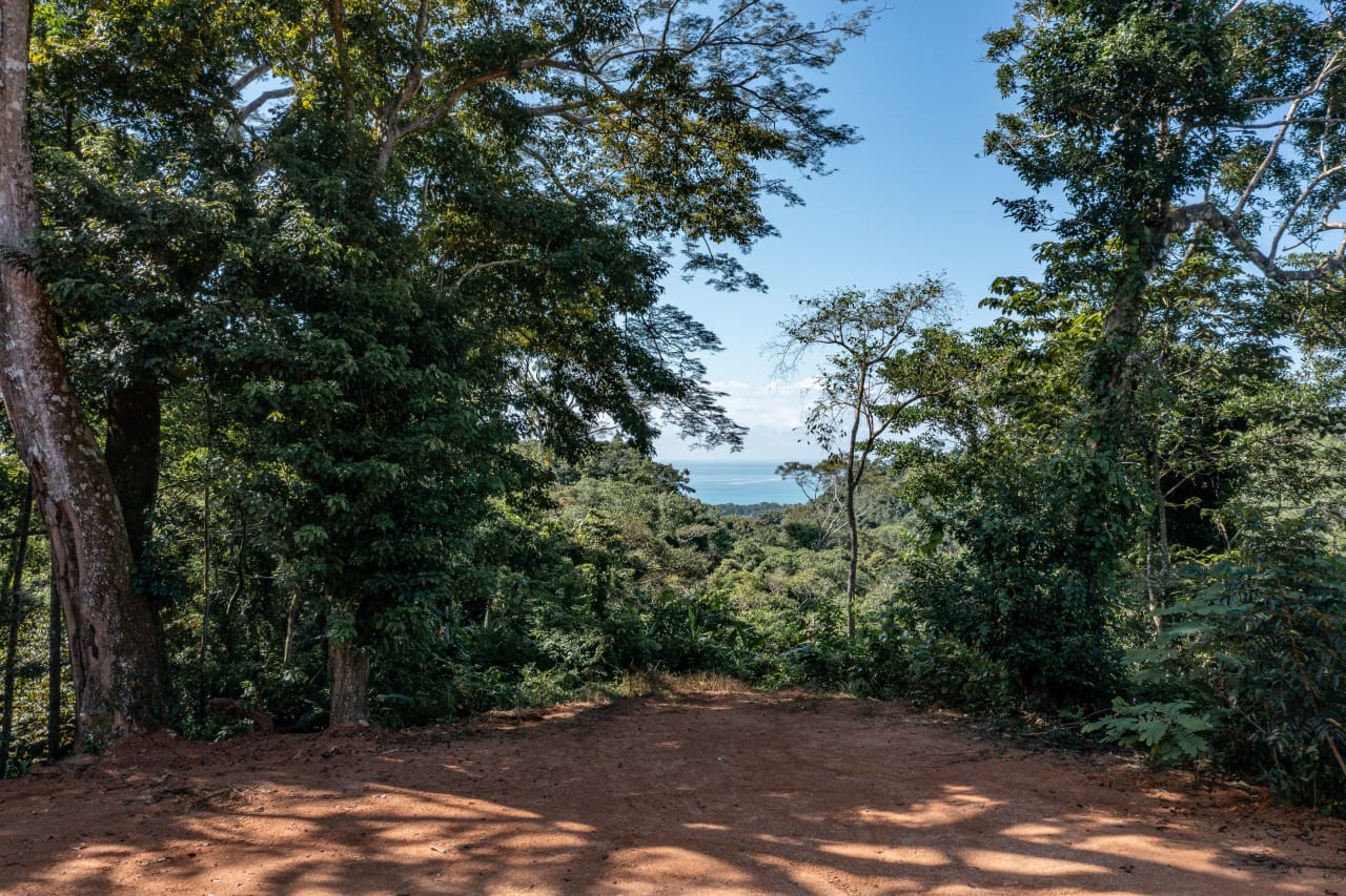 Secluded Ocean view Land in Dominical, Costa Rica