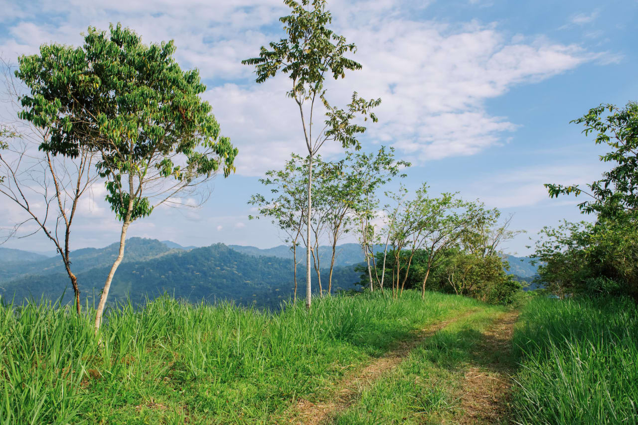 Alma de la Selva, ( Soul of the Forest ) 777 Acre Ocean View Ranch