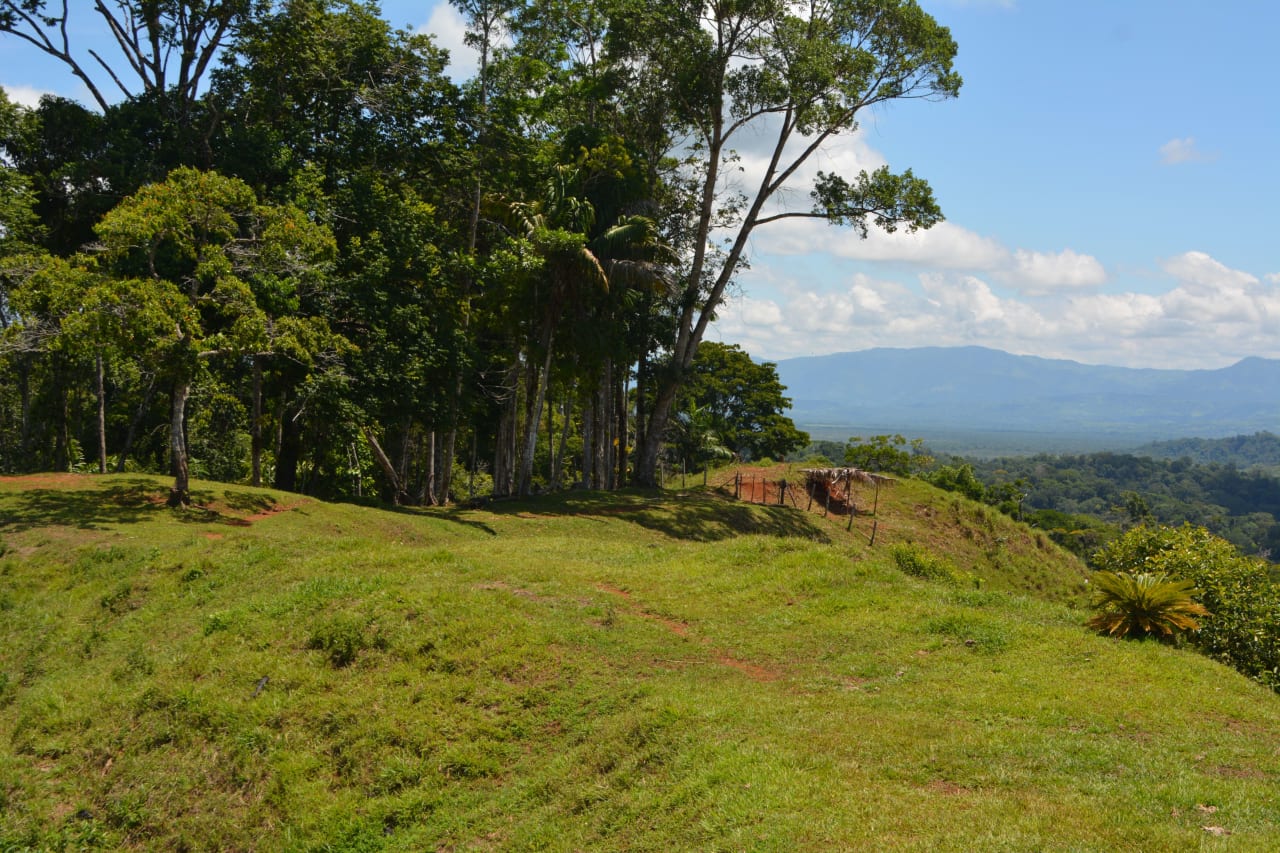 Osa Peninsula Los Mogos Magic Golfo Dulce Views 71 Acres