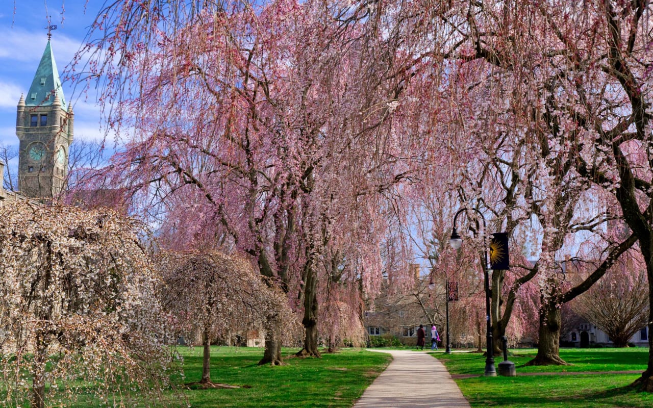 Bryn Mawr Real Estate The Susan Fitzgerald Team The Susan