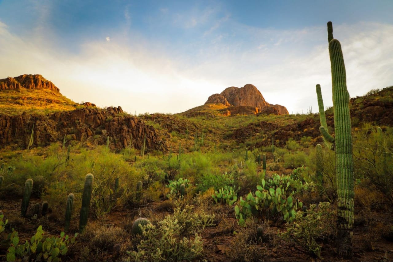 8 Easy Tips For Relocating to Tucson