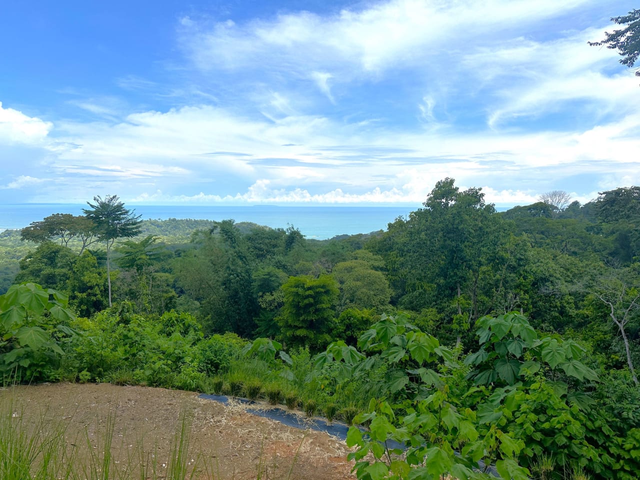 11.24 Acres With Two Stunning Ocean View Building Sites In Cinco Ventanas! Ojochal (Cinco Ventanas, Puntarenas, CR - 60504)