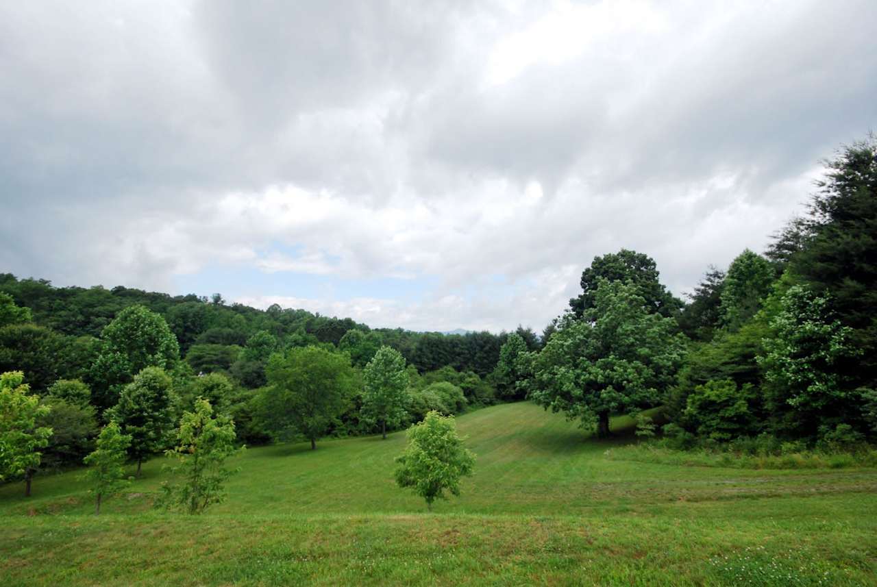 Sylvan Heights