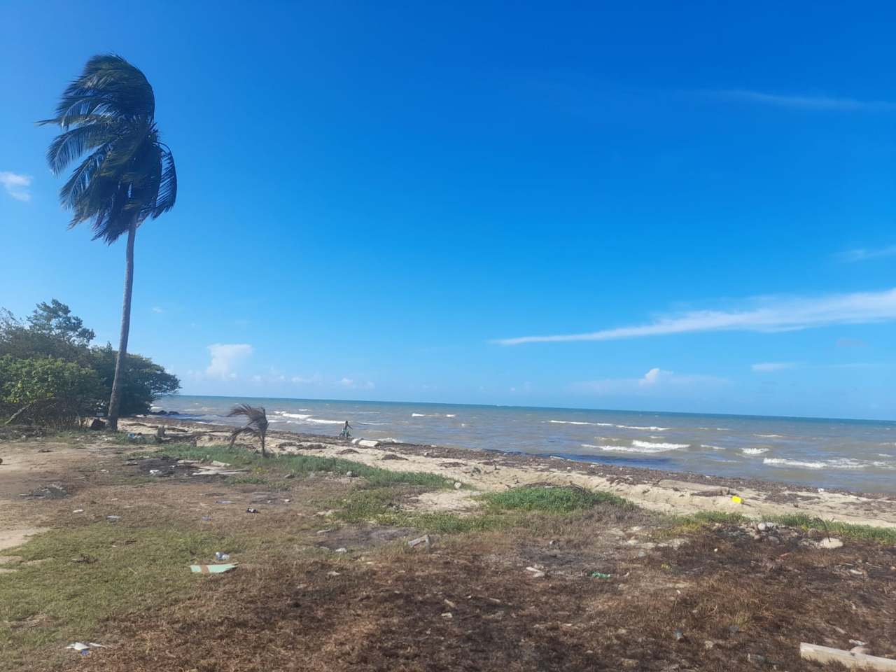 Charming 1.6 acre Caribbean Beachfront peninsular in Dangriga Town, Belize