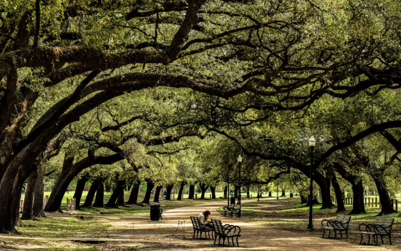 Olmos Park