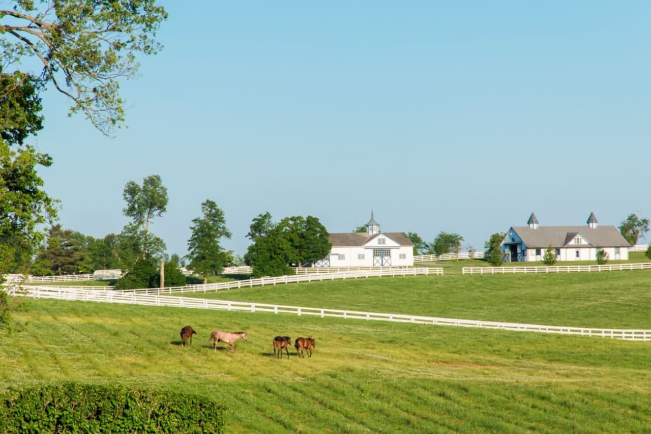 Equestrian Clubs of Woodside and Saratoga, CA