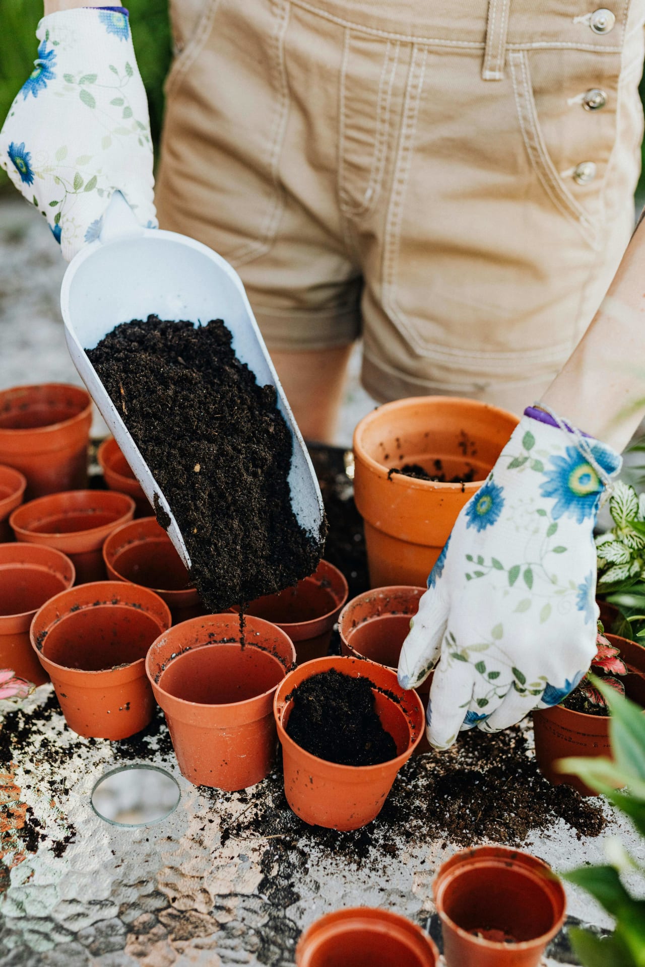 Six Safety Tips in the Garden