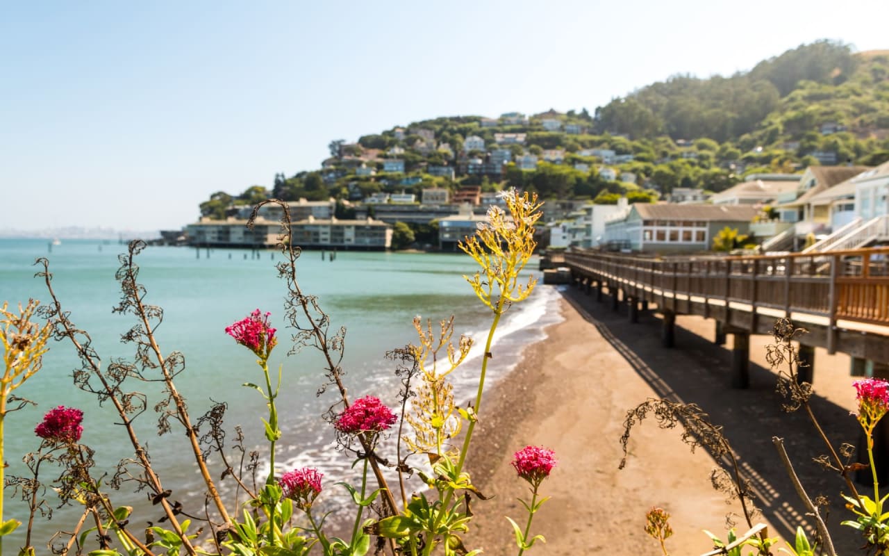 Sausalito Community Guide, Christina & Karla