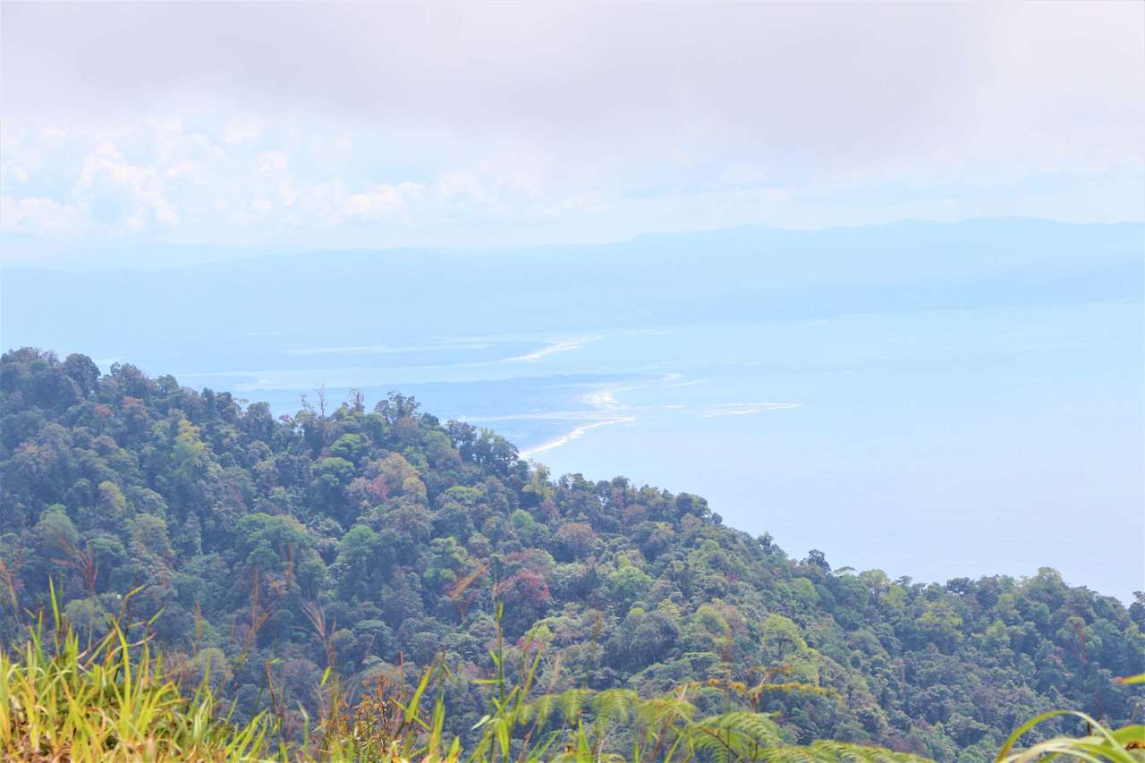 276 acres, 3 spectacular ocean view farms bordering together