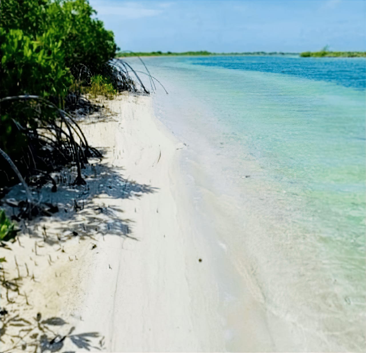 Sea, Sun, Sand, and Fish -The Ultimate privacy and seclusion Anglers’ Paradise 