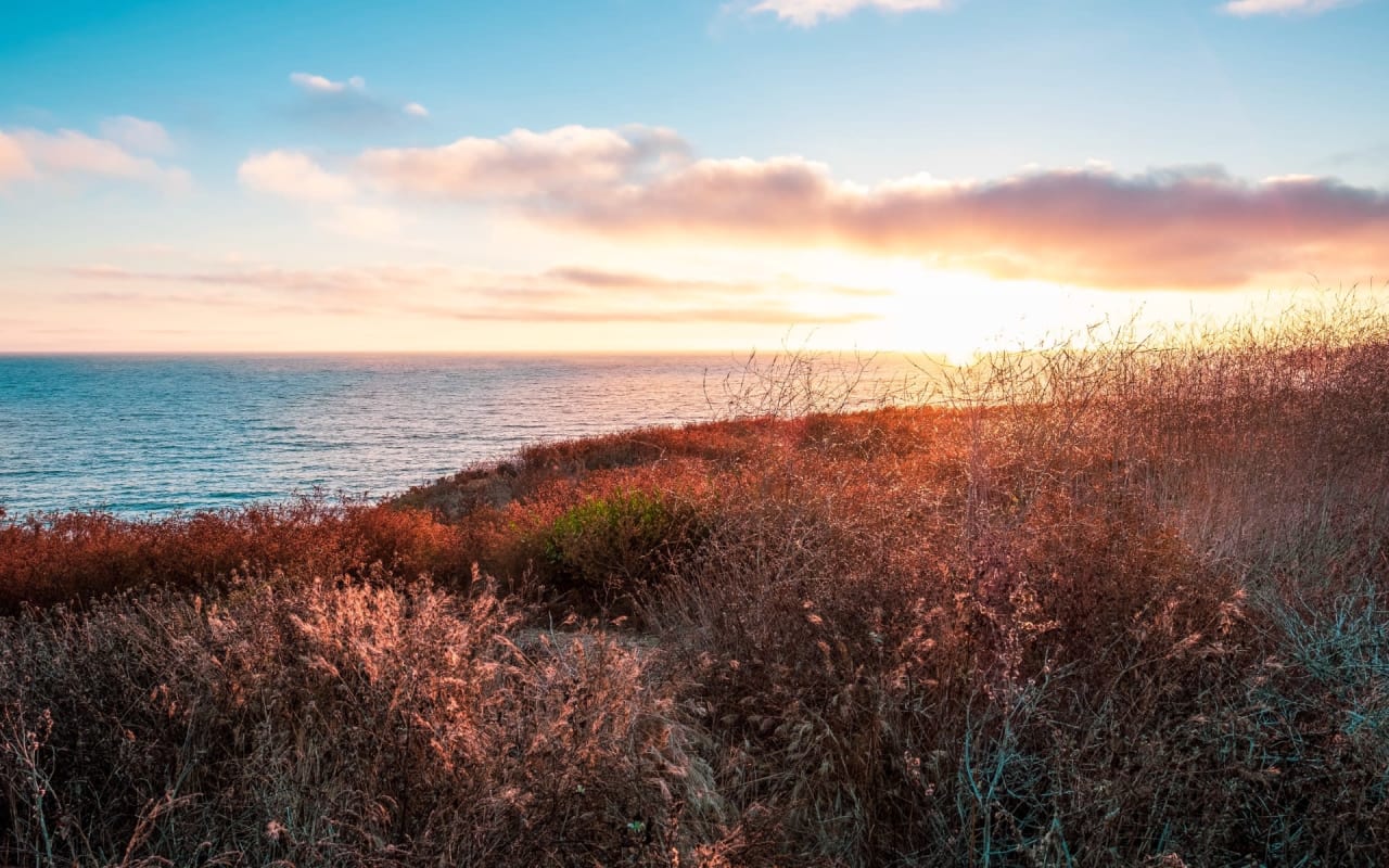 10 Hidden Gems in Point Loma to Explore