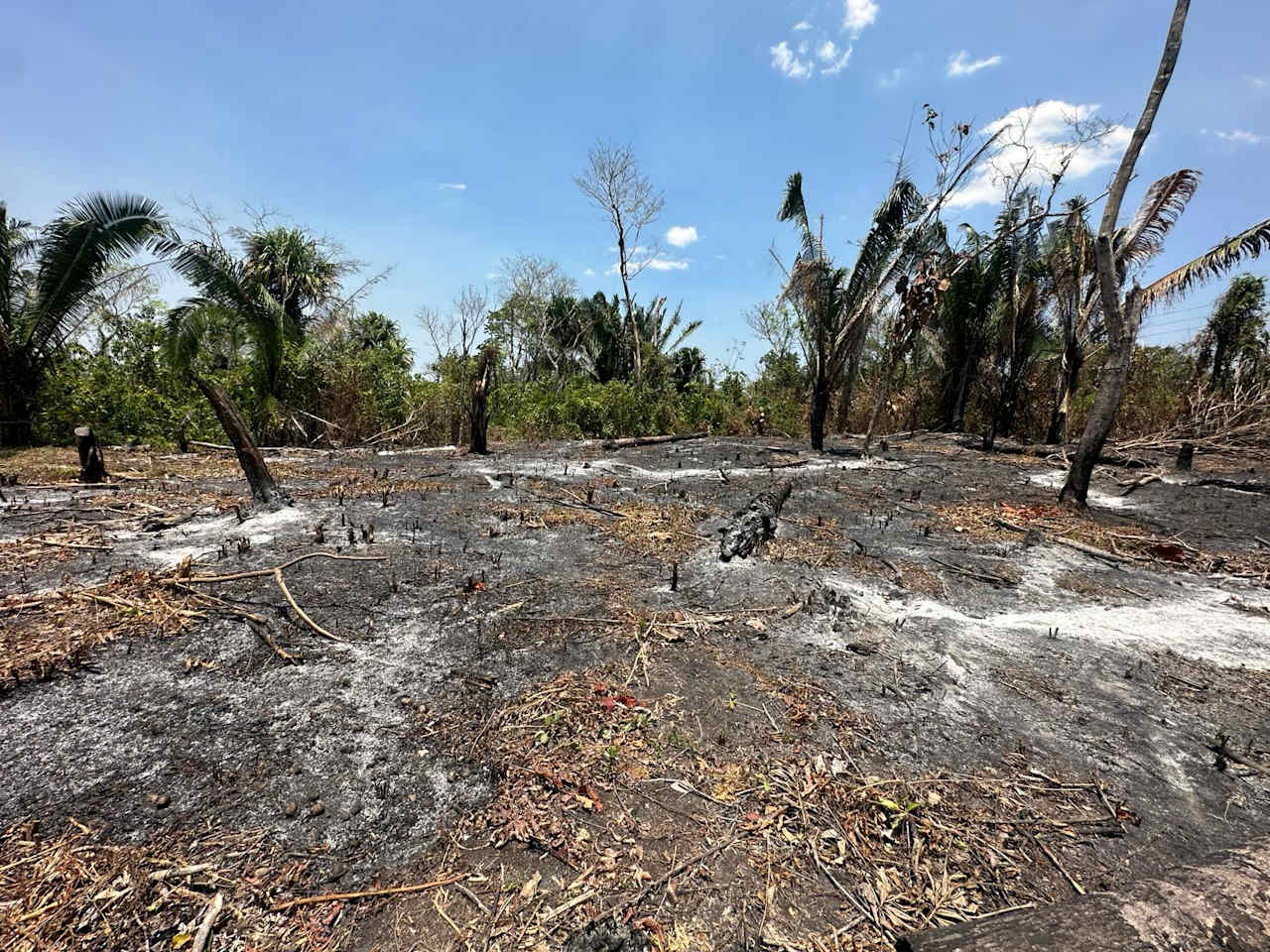 Large Residential  corner Lot in Camalote Village, Cayo District, Belize