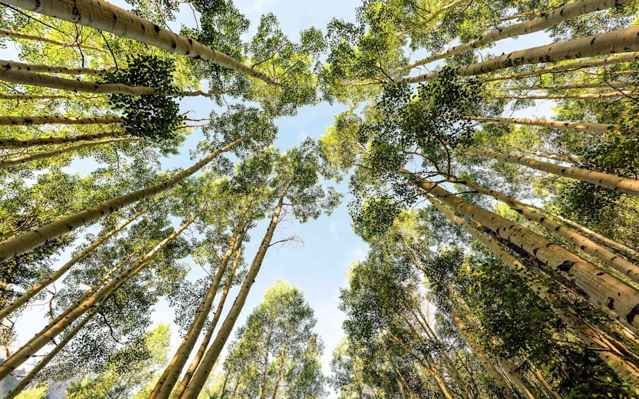 Dove Creek Neighborhood Guide Stacked Real Estate