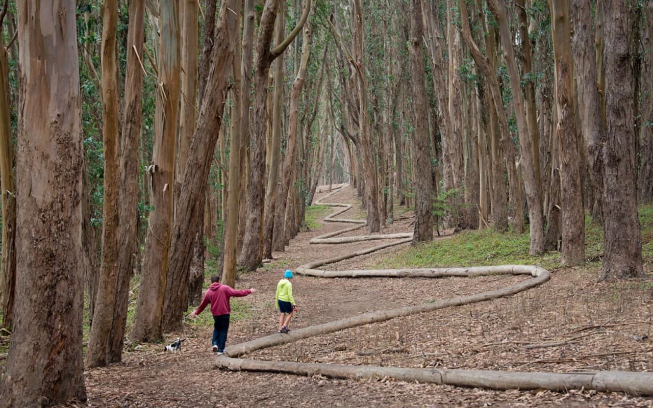 Presidio Heights