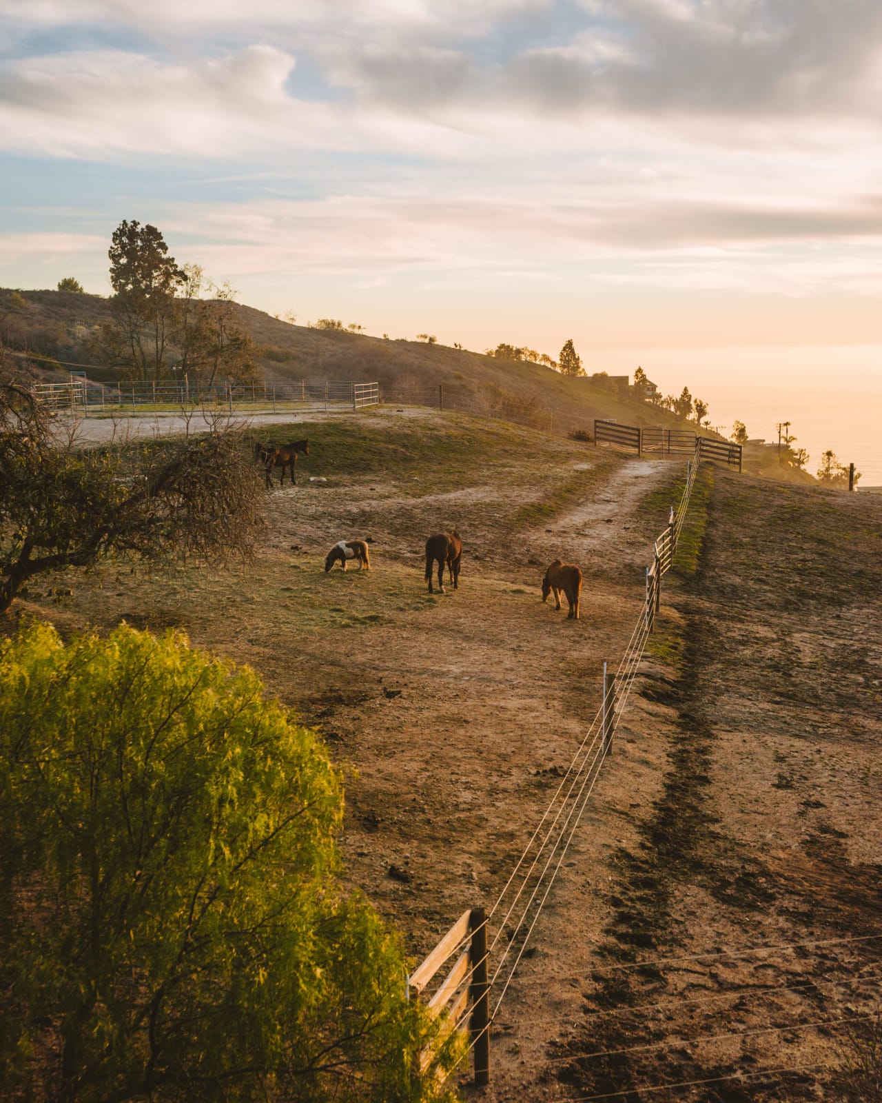 MALIBU DREAM RANCH 