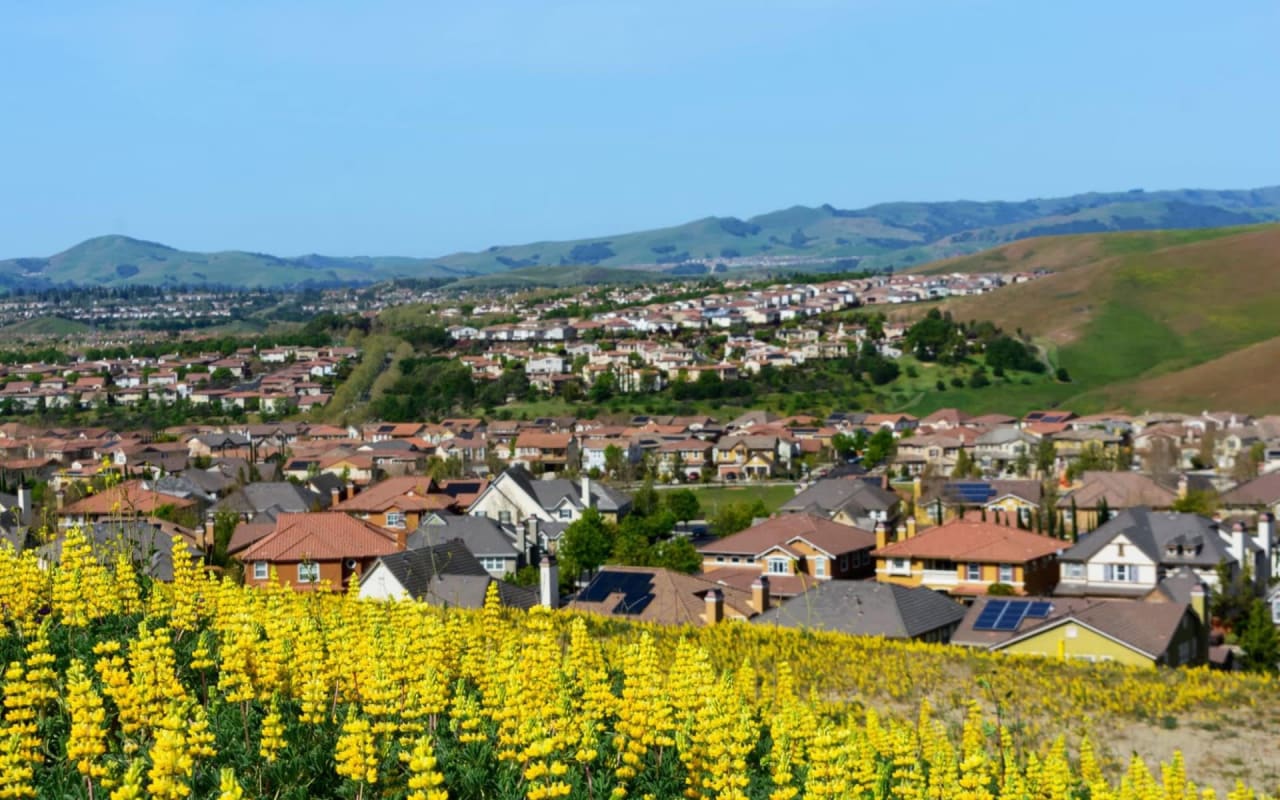 What’s it Like to Live in San Ramon?