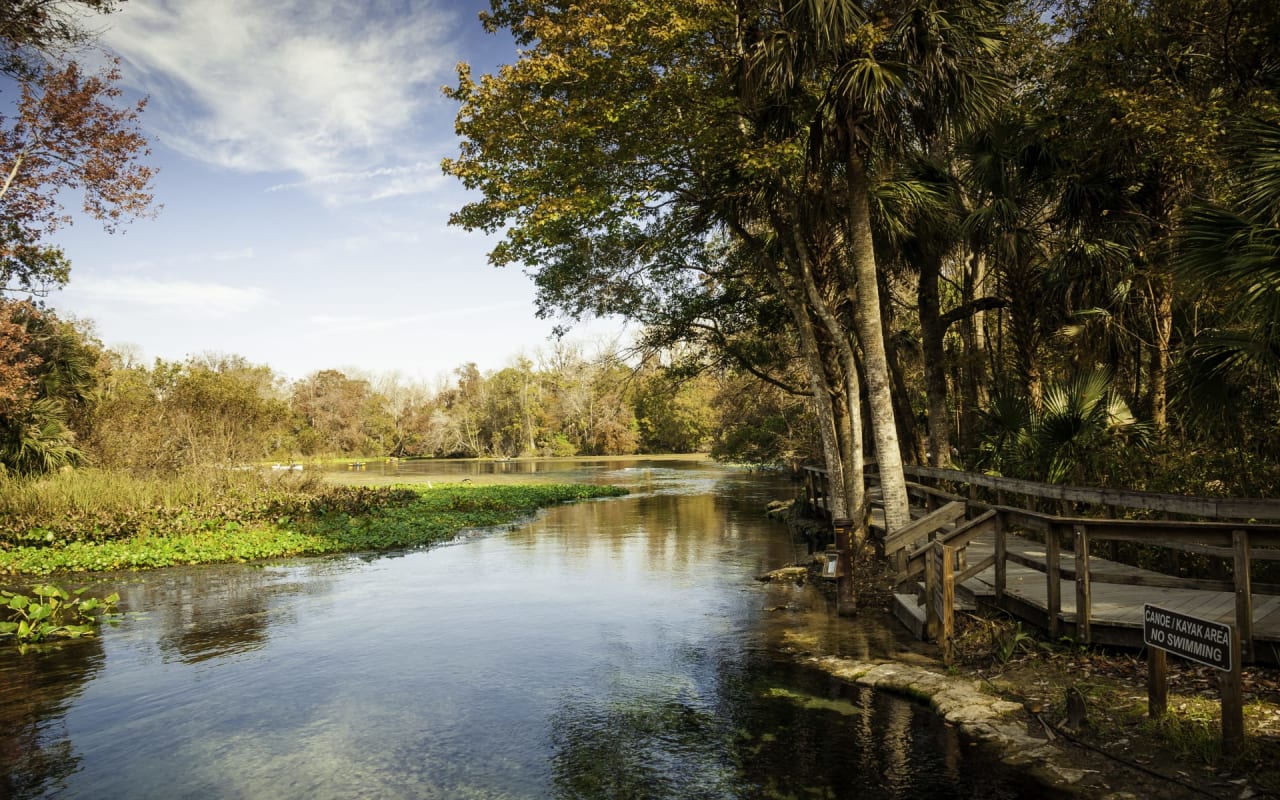 Wekiva Springs