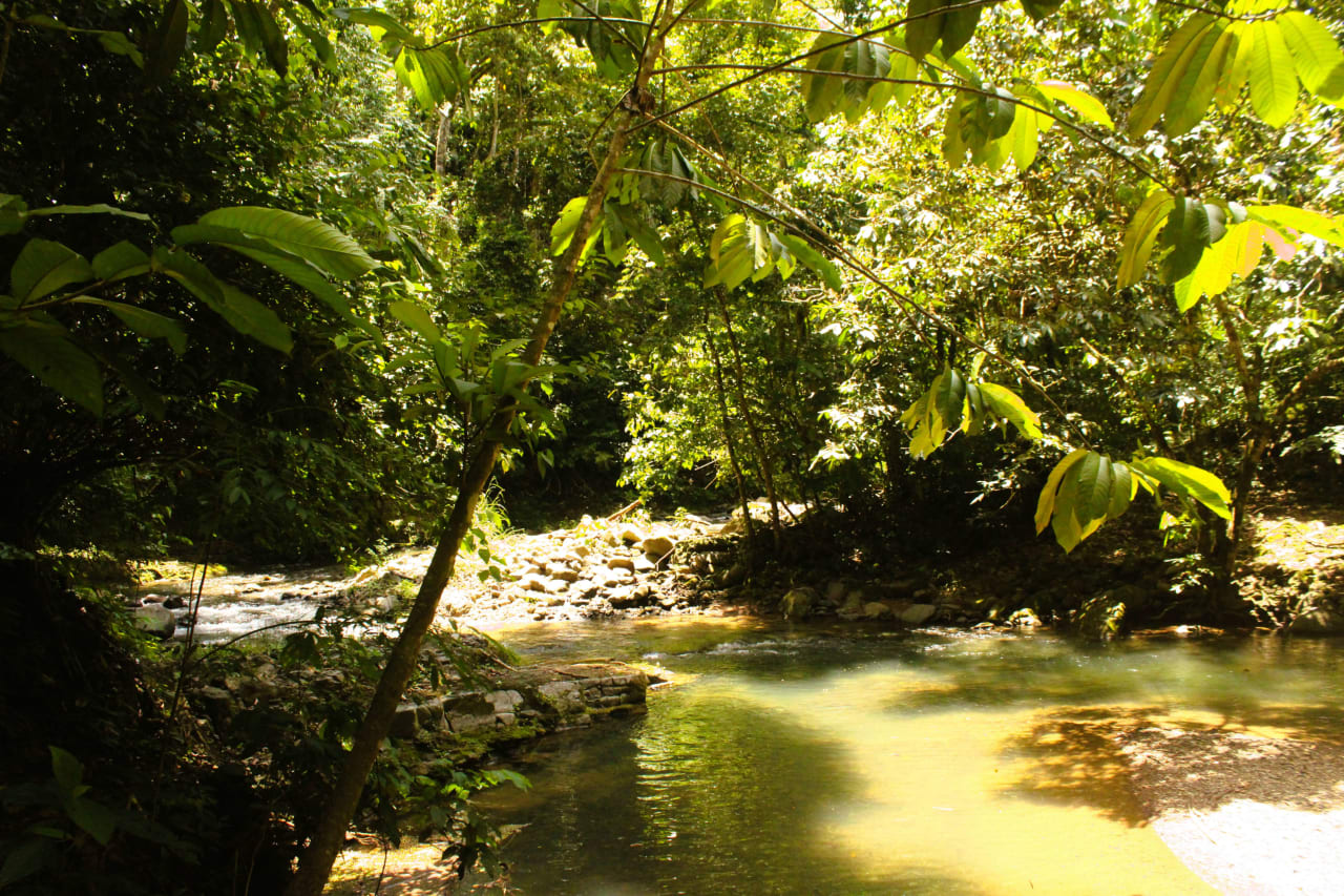 Wildlife Reserve Farm in Chontales.