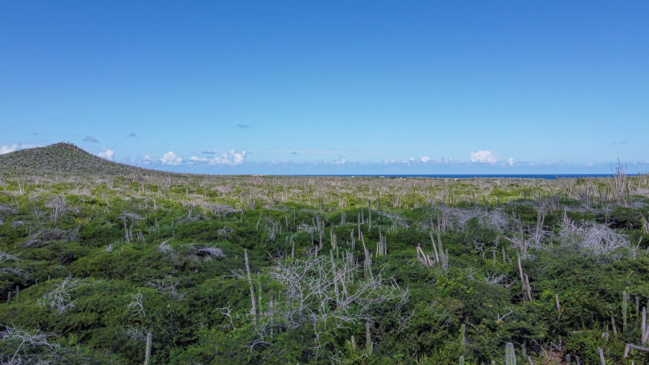 BES Islands Real Estate Bonaire Land For Sale Investment