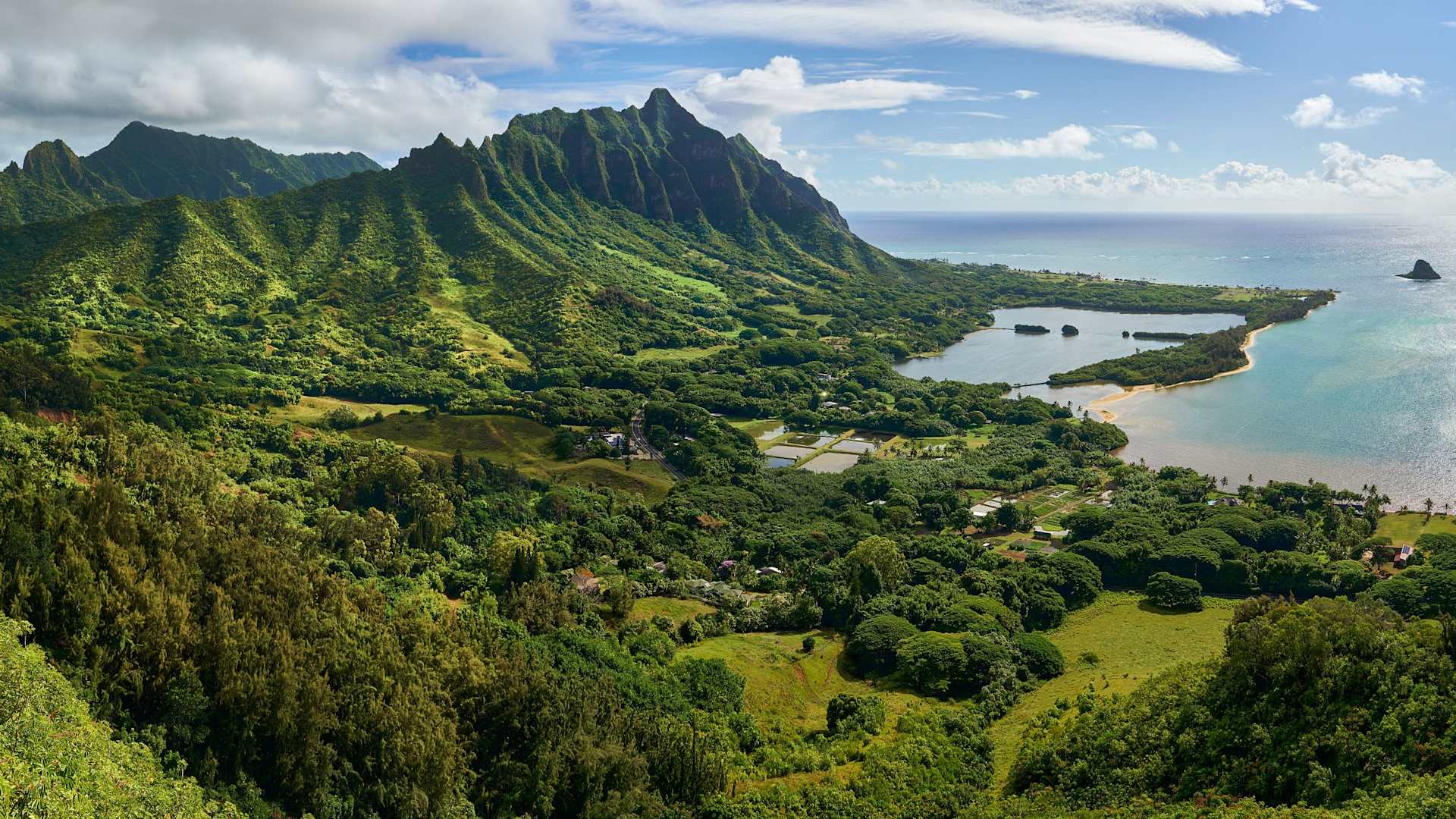 Instant Honolulu Property Estimates Tiare Kabazawa