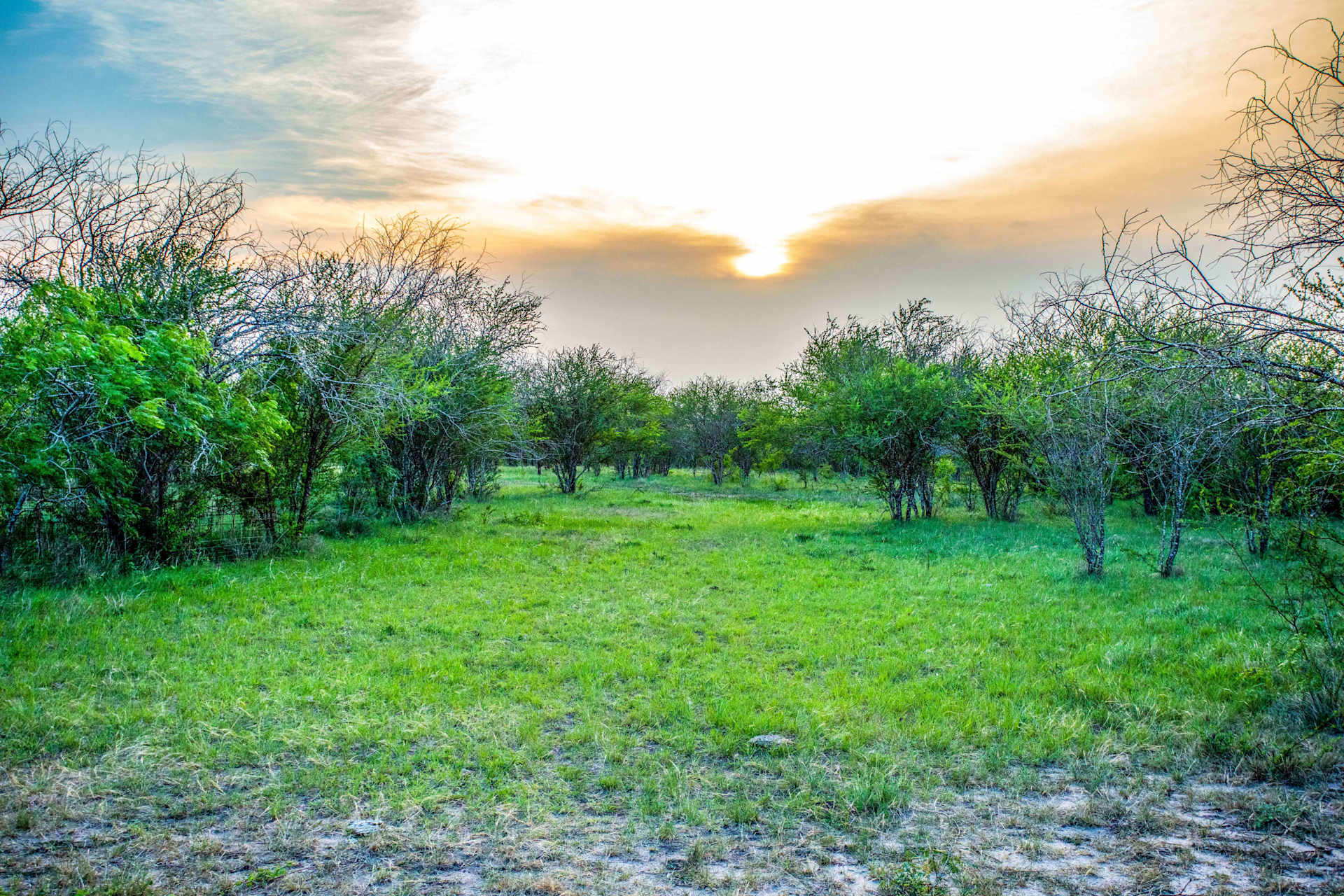 Karnes County, TX Land for Sale Gaines Slade
