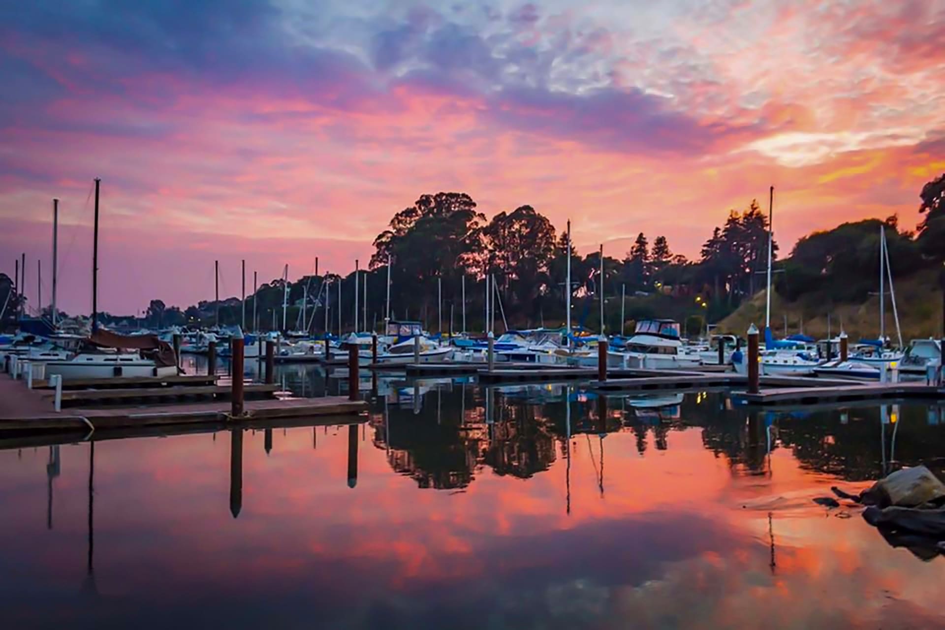 Meet the Team Team Zech Properties Santa Cruz & Monterey County