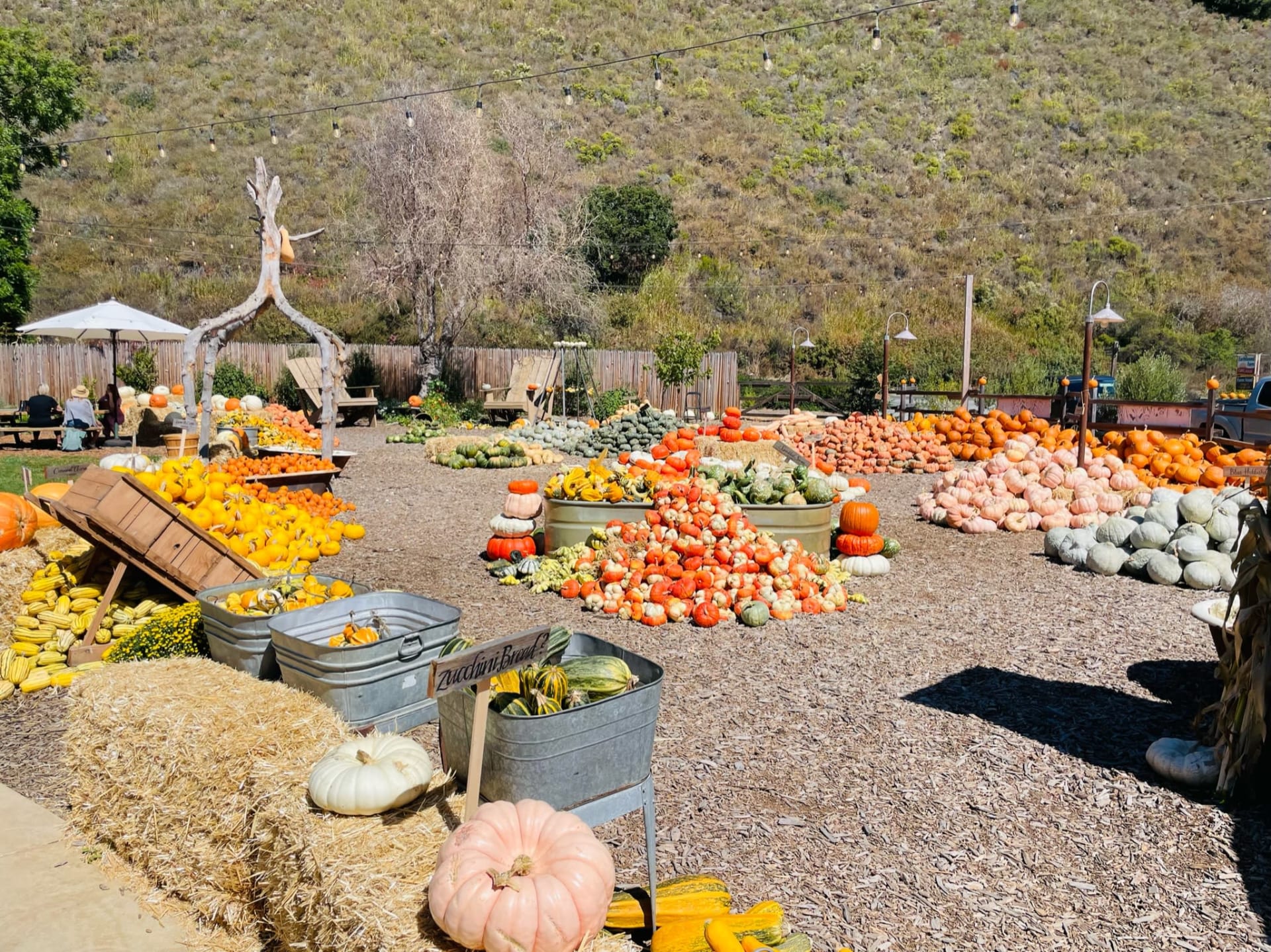 Organic Sweet & Crisp Little Gems - Earthbound Farm