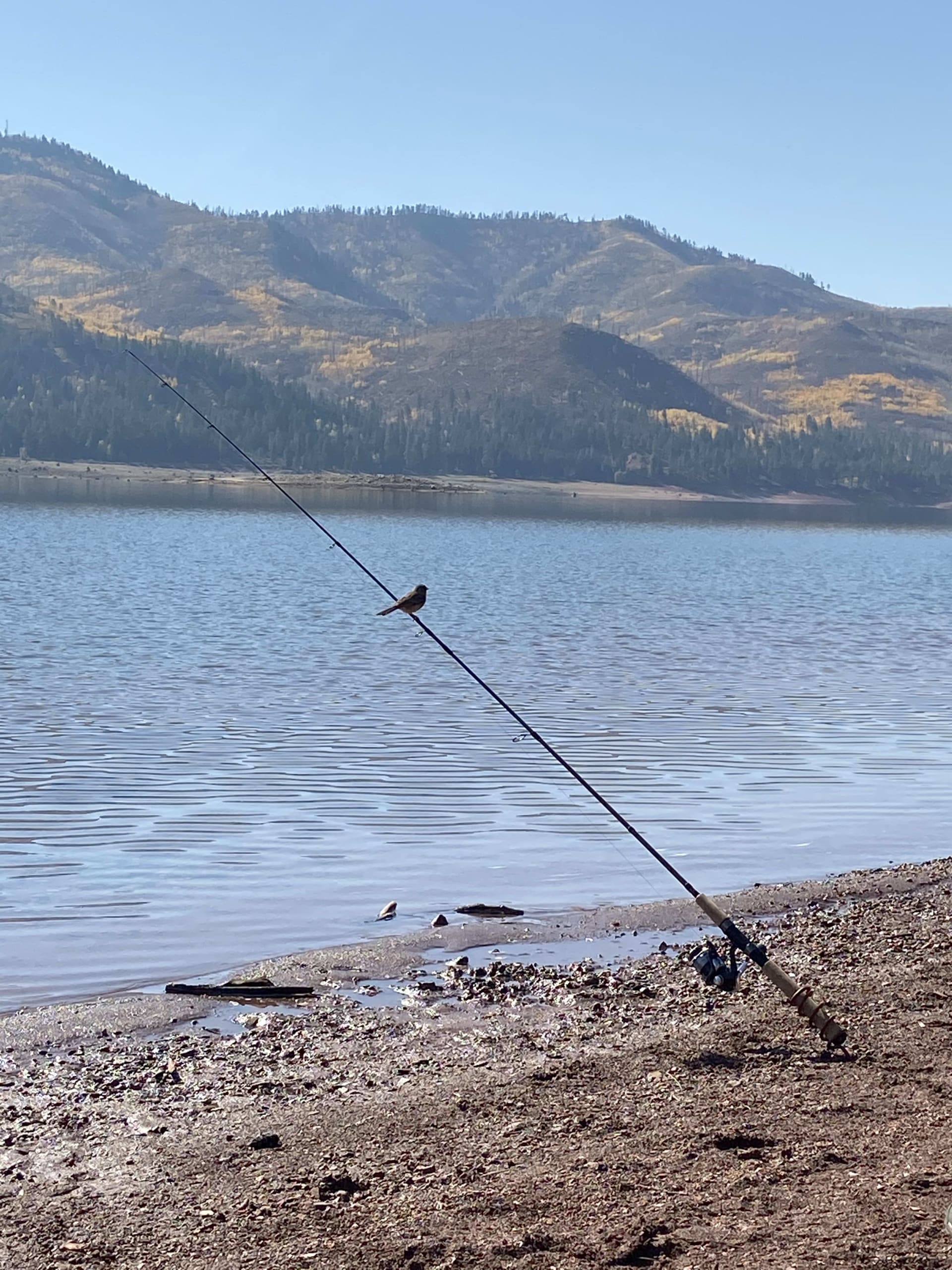 Fishing at Vallecito Reservoir